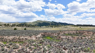 0 W1 2se1 4 Sec 25 unit 1088914, Regina, NM 87046 - photo 5