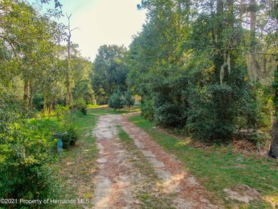 3025 N Page Ave, Hernando, FL 34442 - photo 5