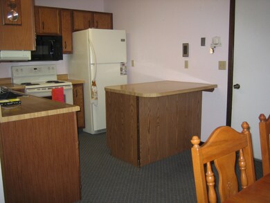 Kitchen View 2