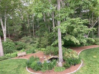 Back Garden