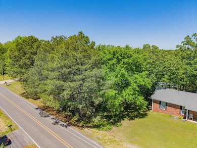 0 Marion Anderson Rd unit 25703820, Hot Springs, AR 71913 - photo 2