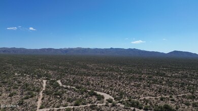 DJI_0131