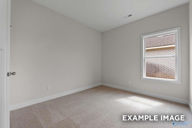 225 Pine Island Ave, Toney, AL 35773 - photo 7