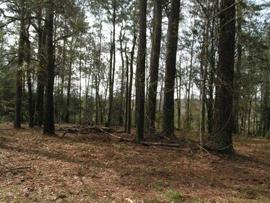 00 Toby Trail, Red Level, AL 36467 - photo 6