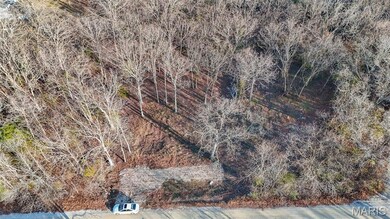 15316 Hargis Ct, Cold Spring Township, MO 65401 - photo 5