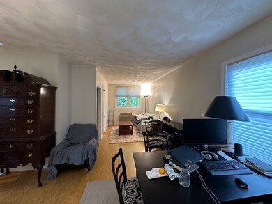 153 Spring St unit 2, Cambridge, MA 02141 - photo 4