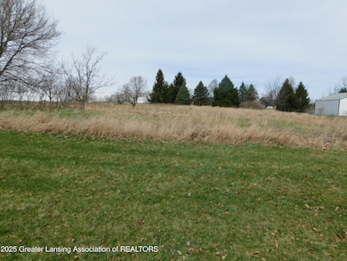3940 Tuttle Rd, Leslie, MI 49251 - photo 4