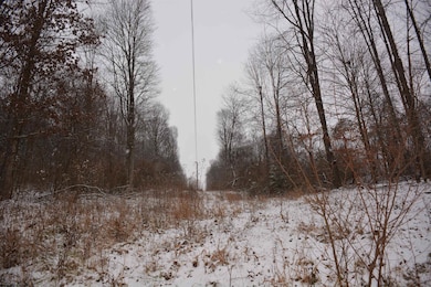 To Be Determine Sand Fork Rd, Roanoke, WV 26447 - photo 5