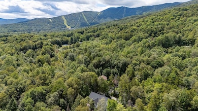 77 Two Ponds Rd, Warren, VT 05674 - photo 4