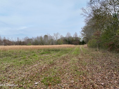 0000 Brown Rd, Canton, MS 39046 - photo 3