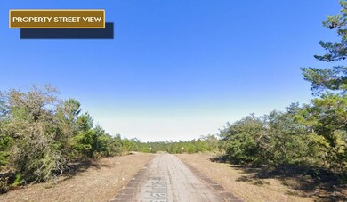 0 Malaluka Place unit 25756075, Chipley, FL 32428 - photo 2