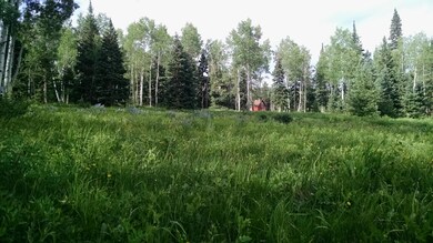 IMG_04_20190707_091448032