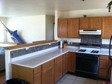 0 Road 22 unit 696068, Dolores, CO 81323 - photo 7