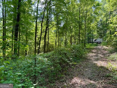 193 Griswoldville Shortcut, Macon, GA 31217 - photo 4