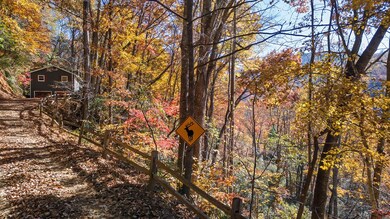 15 Grouse Rd, Franklin, NC 28734 - photo 4