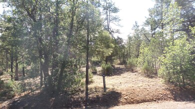 1491 W Falling Leaf Road