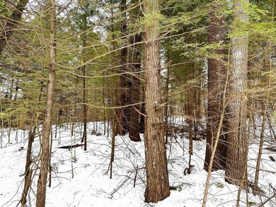 Map 18 Lot 15 Summit View Dr, Moultonborough, NH 03254 - photo 5