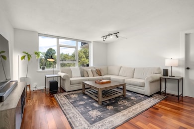 Imperial Towers unit 508, Chestnut Hill, MA 02467 - photo 6