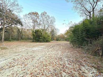 9684 Hooper Rd, Baton Rouge, LA 70818 - photo 3