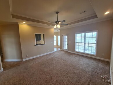 living room with trey ceiling