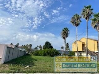 112 E Venus Ln unit 29, South Padre Island, TX 78597 - photo 3