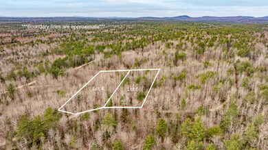 M10L29A4&5 Miller Ln, Surry, ME 04684 - photo 3