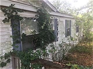 27541 Carraway Ln, Magnolia, TX 77354 - photo 6