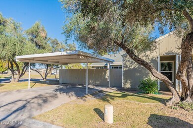 3-web-or-mls-44th-3