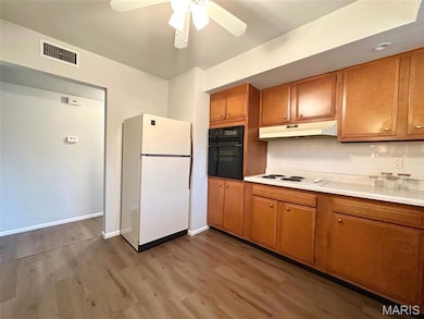 4228 Fatima Dr, St. Louis, MO 63123 - photo 6