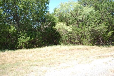 8117 High Mesa Dr, Whitney, TX 76692 - photo 4