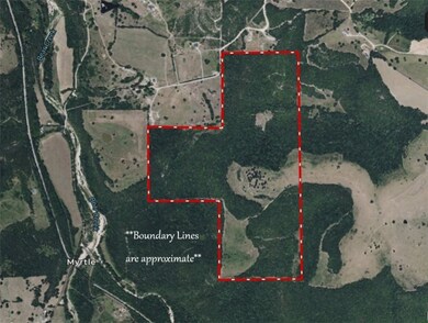 160 Acres Rushing Ridge Rd, Harrison, AR 72601 - photo 7