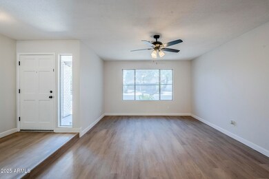 sunnyside-6
