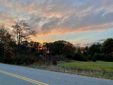 buttsIMG_9264 (1)