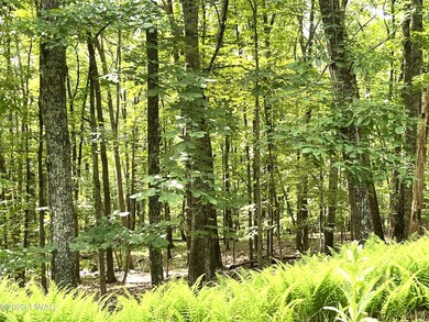 481 Eastwood Cir, Hawley, PA 18428 - photo 4