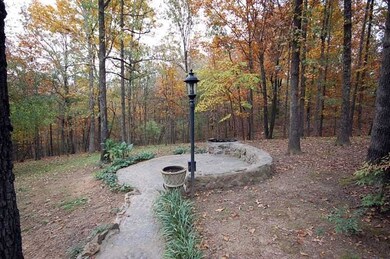 32 Rolling Hills Dr, Conway, AR 72032 - photo 7