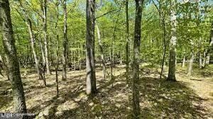 0 Spring Ct unit PM-121270, Bushkill, PA 18324 - photo 3