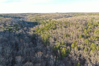 TBD County Road 426, Epps Township, MO 63901 - photo 7