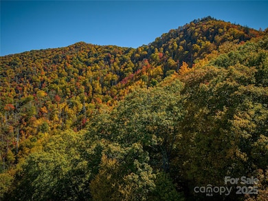 205 Chickadee Ln unit 205, Maggie Valley, NC 28751 - photo 6