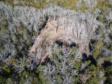 DJI_0010ff6a