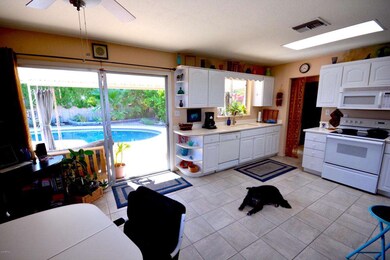 kitchDog