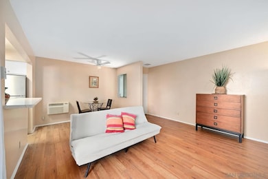 1361 Caminito Gabaldon unit F, San Diego, CA 92108 - photo 3