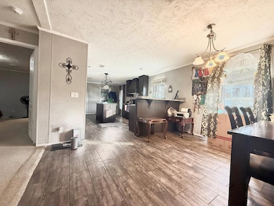 120 Elizabeth Church Rd, Hazlehurst, GA 31539 - photo 6