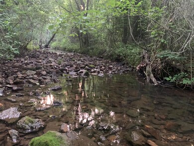Creek at bottom