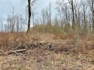 6990 Woodard Rd, Andover, OH 44003 - photo 6