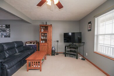 302 S Lincoln St, Downs, IL 61736 - photo 5