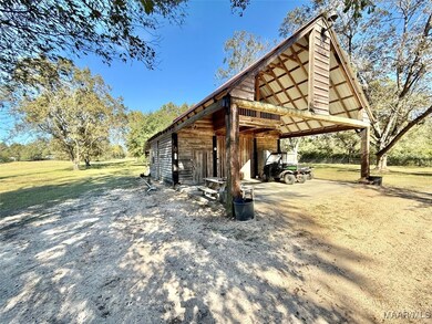 630 Perry Johnson Rd, Camden, AL 36726 - photo 4