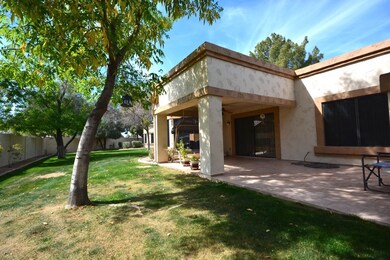 patio 2