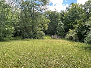 1899 Fitzpatrick Hill Rd, Millport, NY 14864 - photo 4