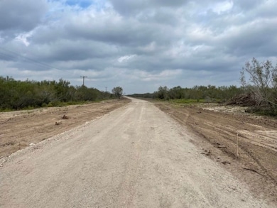 unlisted-address, Freer, TX 78357 - photo 2