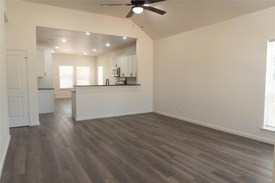 305 Titus Ave, Springtown, TX 76082 - photo 5